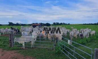 Imagem: Fazenda à venda, 2.032.80 Hectares por