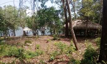 Imagem 4: Sítio Tapary Chácara com venda por R$300.000