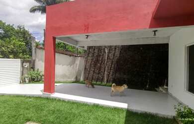 Imagem 6: Casa modena, local acessível, com poço artesiano