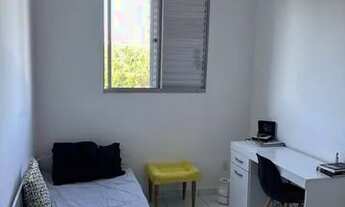 Imagem 4: Apartamento para aluguel tem 45 metros quadrados com 2 quartos