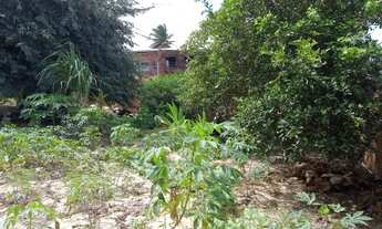 Imagem 3: Terreno com casa