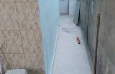 Imagem 5: Alugo casa engenhoca