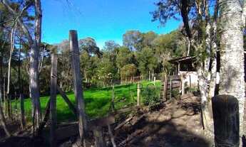 Imagem 3: Sítio no Rancho Jane em Canela!