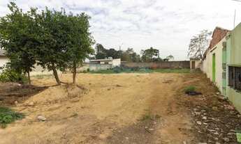 Imagem 6: SÃO JOSÉ DOS PINHAIS - Terreno Padrão - BORDA DO CAMPO