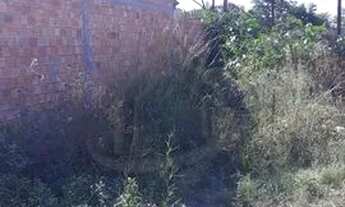 Imagem 6: Terreno em Restinga