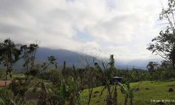 Imagem 7: Maravilhoso sítio em Garuva-SC,2casas,Lagoas c/Peixes,Nascentes,Piscina,Fácil acesso