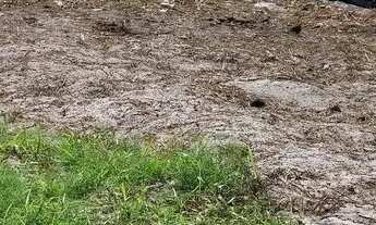 Imagem 6: Terreno em Jauá