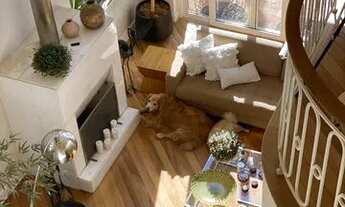 Imagem 6: Casa de Condomínio 1064m² na Serra da Cantareira