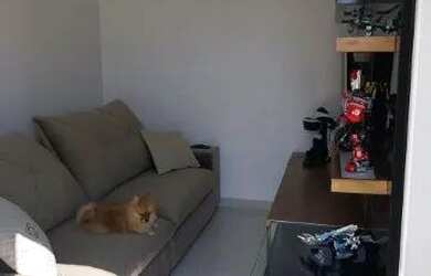 Imagem 3: APTO CONCEIÇÃO OSASCO