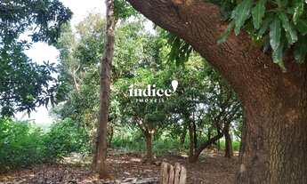 Imagem 2: Terrenos Bairro à venda Parque São Paulo (Vila Xavier) Araraquara