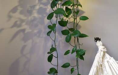 Imagem 6: Quarto Individual