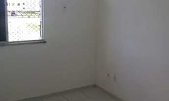 Imagem 5: Doce Vida Natura