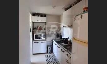 Imagem 7: CANOAS - Padrão - Mato Grande