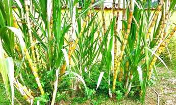 Imagem 6: VENDO CASA POR MENOS DA METADE DO PREÇO