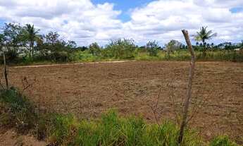 Imagem 3: Terreno em sapé itaporanga d'ajuda