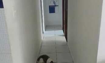 Imagem 4: Aluguel de apartamento