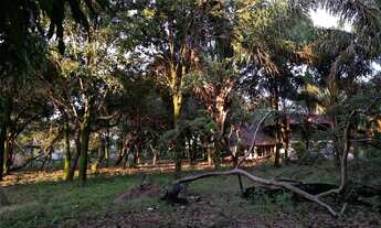 Imagem 2: TERRENO 16 HECTARES EM MARUDÁ
