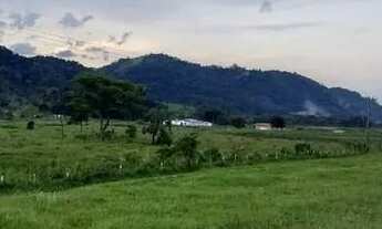 Imagem 3: Terreno 181.000 m2 plaino e de frente para Via Dutra e m Santa Isabel SP