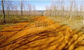 Imagem 4: Fazenda em Unaí - Minas Gerais, à venda com 537ha - Dupla Aptidão