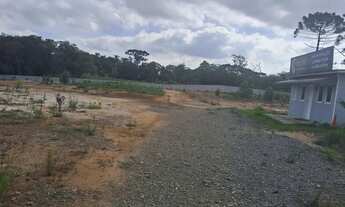 Imagem 5: Terrenos @@AtubaColombo##@Terrenos