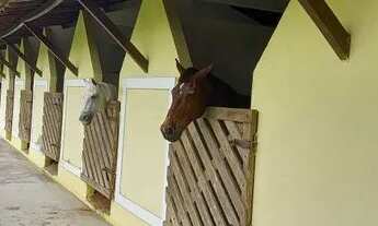 Imagem 5: Casa em aldeia para fins de semana