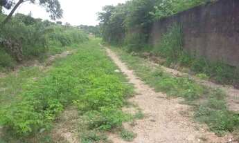 Imagem 4: RUA PROJETADA - BAIRRO: BRASILAR