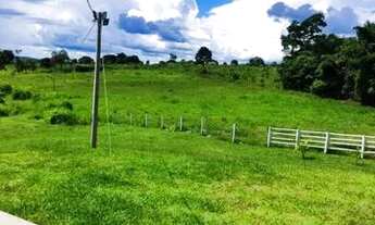 Imagem 6: Chácara em Americano do Brasil, Goiás 3 alqueires 1.300.000