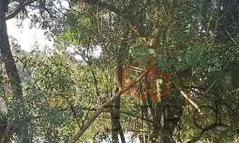 Imagem 6: Terreno à Venda em Gramado, no Vivendas do Arvoredo!