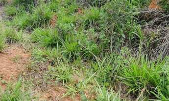 Imagem 6: Chácara em Rio Casca