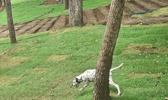 Imagem 7: Vendo chácara Chácara com venda por R$400.000