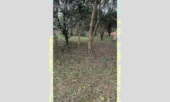 Imagem 4: CMCF 2 Lote 612651033-85