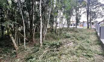 Imagem 5: Terreno - Bairro Carniel