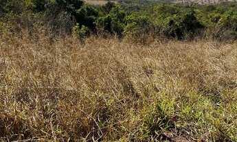 Imagem 3: Chácara de 1.500 metros parceladas 20 km de Aparecida de Goiânia