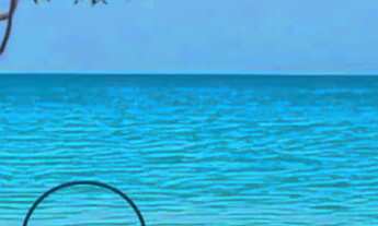 Imagem 4: Prime Beach Sea - Beira-Mar de Tamandaré