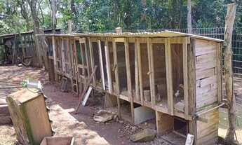 Imagem 7: BAIXOU - Sítio 3 hectares - Fazenda Fialho/Taquara-RS