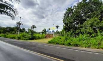 Imagem 3: Sítio 2 quartos para Venda CAMPESTRE NORTE, Teresina