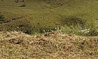 Imagem 2: Terreno chacara Chácara com venda por R$47.000