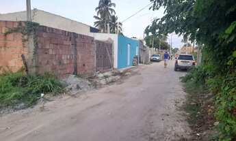 Imagem 2: Terreno ilha de Sta. Rita