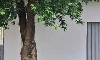 Imagem 3: Casa 4 Quartos, suíte, 02 salas, desocupado, ao lado do Estádio do Atlético, Setor dos Fun