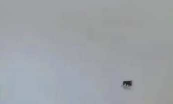 Imagem 5: CASA COM FÁCIL ACESSO METRÔ VILA MATILDE!