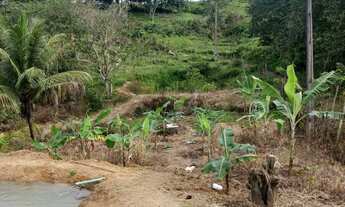 Imagem 5: Sitio Chácara com venda por R$180.000