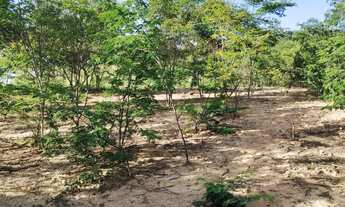 Imagem 7: Excelente Terreno Balneário Bico da Pedra
