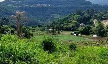 Imagem 5: Área de terra bairro Canelinha, Picada Café.RS REF: 459