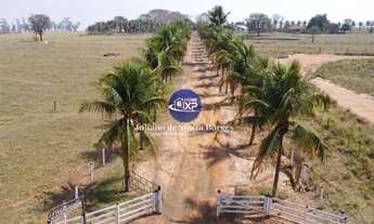 Imagem 7: Chácara 2 alqueires Perto de Vila Azul Rio Preto