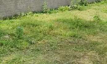 Imagem 5: COD 0175; Lindo Terreno em Ratones