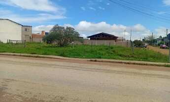 Imagem: Terreno em rua Asfaltada