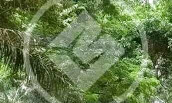 Imagem 5: FAZENDA COM ESTRUTURA PARA PISCICULTURA E EUCALIPTO - R$ 3.200.000,00 - SANTO ANTONIO LEVE