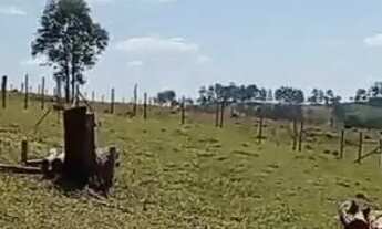 Imagem 4: Terreno chácara 1000m²