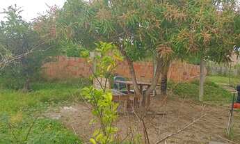 Imagem 4: Terreno com casa