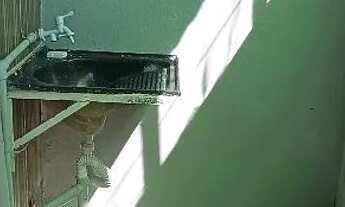 Imagem: Apartamentos no buritizal